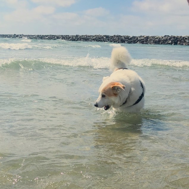 Malibu